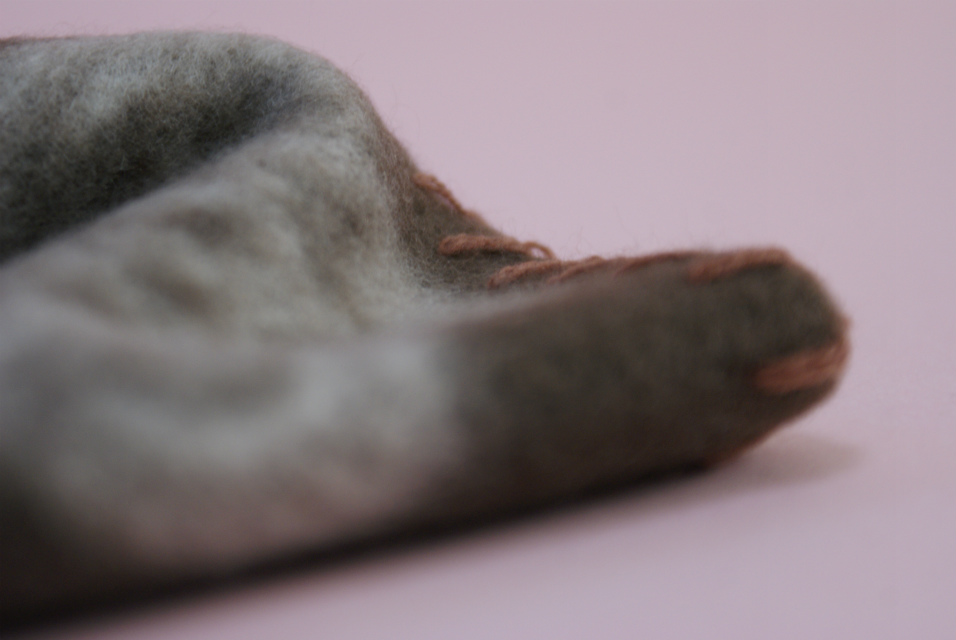 カニンヘン 子犬 ブラック＆クリーム 男の子 しずるの赤ちゃん 11/18生まれ