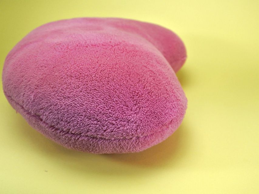 カニンヘンダックスフンド ロングヘアード プレ.yu & オスカルの子犬 クリームブリンドル 女の子