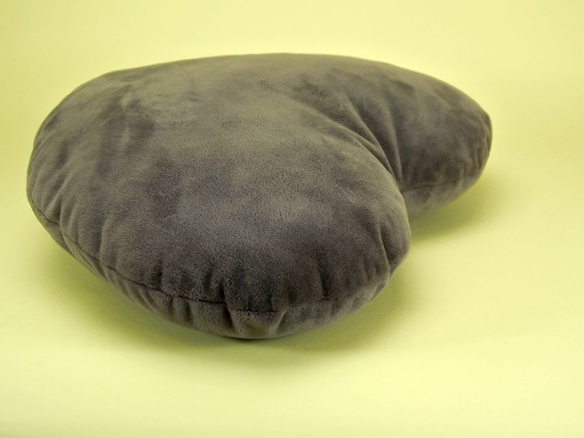 カニンヘンダックスフンド ロングヘアード プレ.yu & オスカルの子犬 クリーム 女の子_DSC1674 カニンヘンダックスフンド ロングヘアード プレ.yu & オスカルの子犬 クリーム 女の子