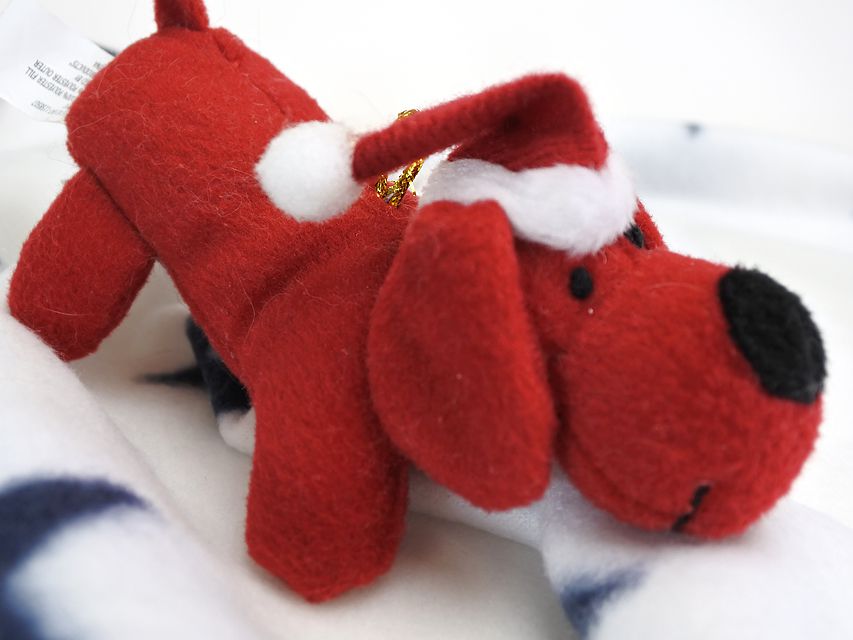 カニンヘンダックスフンド わかば & アレックスの子犬 シェーデットクリーム 男の子 お写真初登場