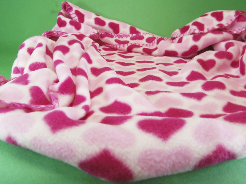 ダックスフンド カニンヘン いちご & オスカルの子犬 ブラックタン女の子②