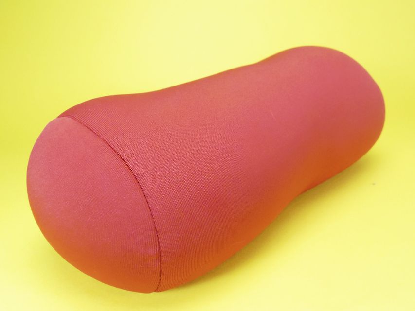 ダックスフンド カニンヘン あんず & アサヒの子犬 ブラッククリーム 男の子_IGP5613 ダックスフンド カニンヘン あんず & アサヒの子犬 ブラッククリーム 男の子