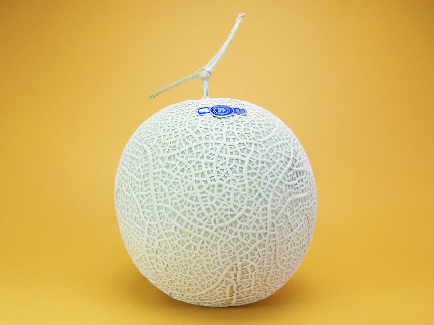 ダックスフンド カニンヘン ウズメ & クッキーの子犬 ブラックタン 男の子