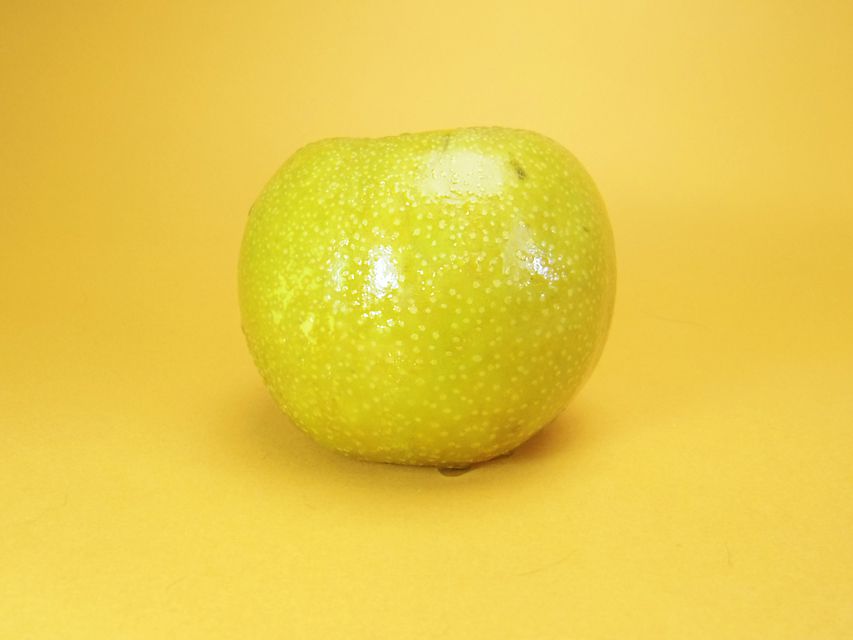 ダックスフンド カニンヘン ウズメ & クッキーの子犬 ブラッククリーム 男の子