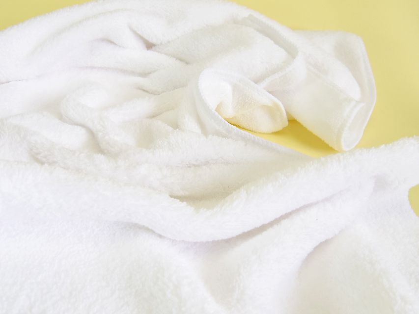 ダックスフンド カニンヘン ティアラ & 武蔵の子犬 シェーデットクリーム 男の子