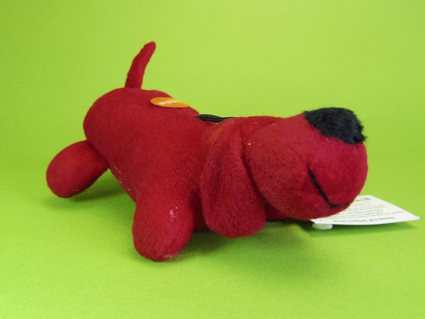 ダックスフンド カニンヘン ウズメ & クッキーの子犬 レッド 男の子