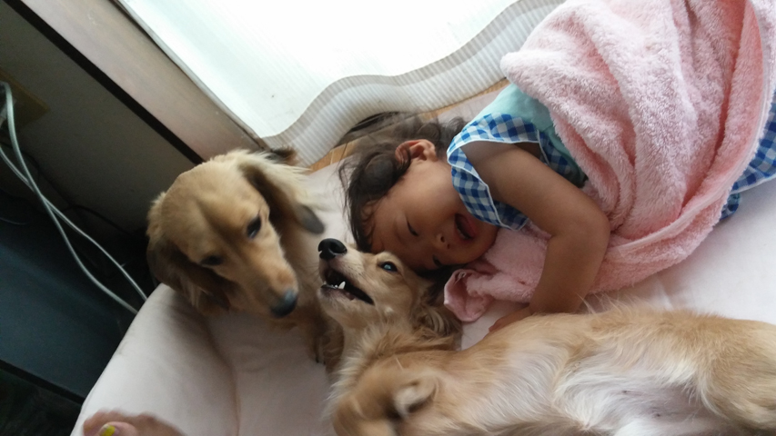 フジフォト大賞2016 家族と仲良し賞 フジフォト大賞2016 家族と仲良し賞