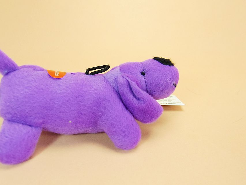 ダックスフンド カニンヘン 月子 & ジムダンディの子犬 ブラッククリーム 女の子