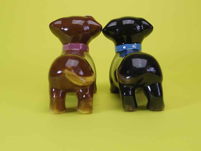 ダックスフンド カニンヘン アン.hb & ダルクの子犬 ブラッククリーム 男の子②