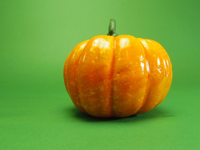 ダックスフンド カニンヘン アン.hb & ダルクの子犬 ブラッククリーム 男の子①IMGP7211 ダックスフンド カニンヘン アン.hb & ダルクの子犬 ブラッククリーム 男の子①