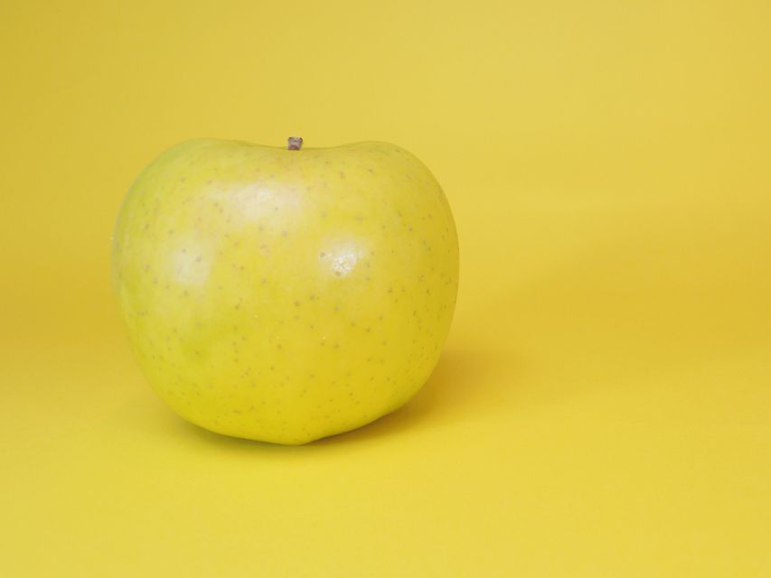 ダックスフンド カニンヘン リールー & オスカルの子犬 シェデットクリーム 男の子IMGP7513 ダックスフンド カニンヘン リールー & オスカルの子犬 シェデットクリーム 男の子