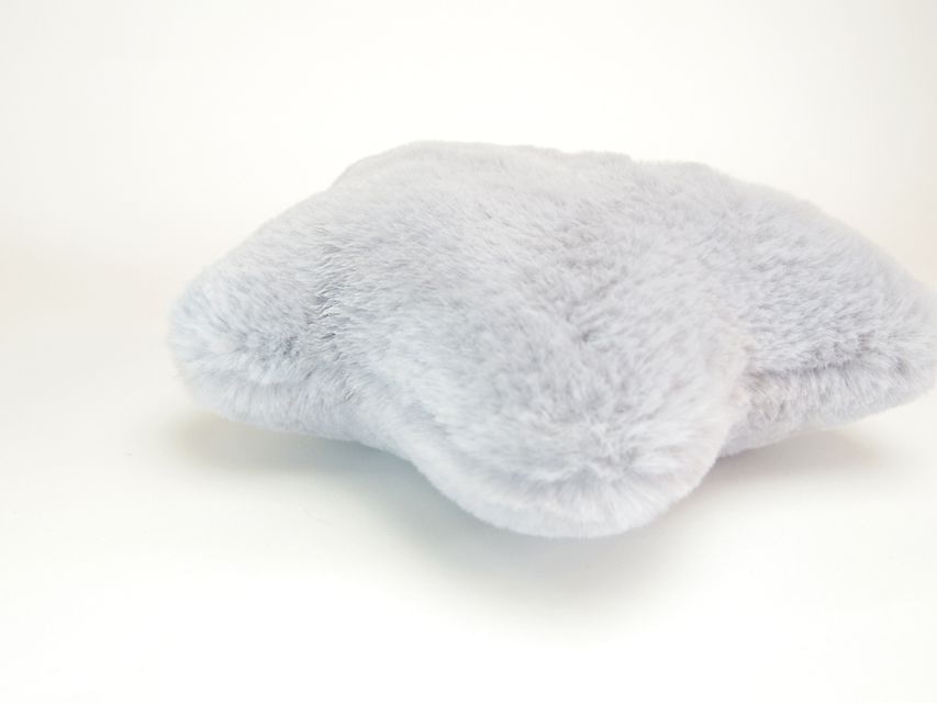 ダックスフンド カニンヘン リールー & オスカルの子犬 シェデットクリーム 女の子