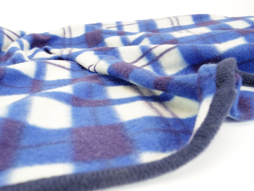 ダックスフンド カニンヘン あんず & 朝日の子犬 ブラッククリーム 男の子①IMGP8842 ダックスフンド カニンヘン あんず & 朝日の子犬 ブラッククリーム 男の子①