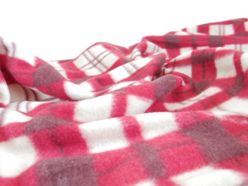 ダックスフンド カニンヘン あんず & 朝日の子犬 ブラッククリーム 男の子③IMGP8880 ダックスフンド カニンヘン あんず & 朝日の子犬 ブラッククリーム 男の子③