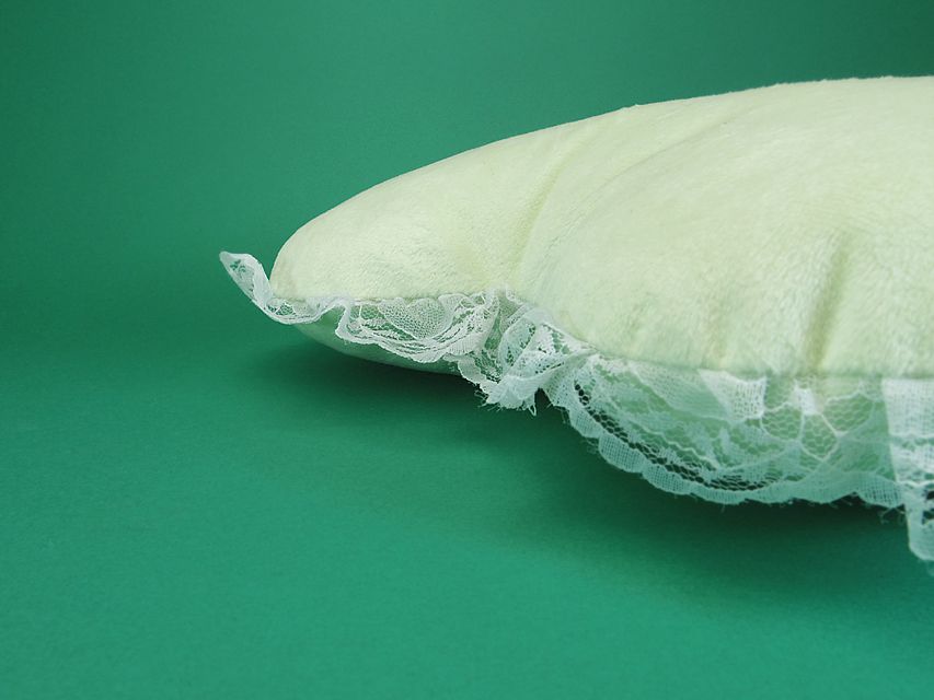 ダックスフンド カニンヘン わかば & アレックスの子犬 シェーデットクリーム 男の子