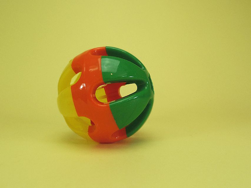 月子 & ジャンの子犬 ブラッククリーム 男の子②