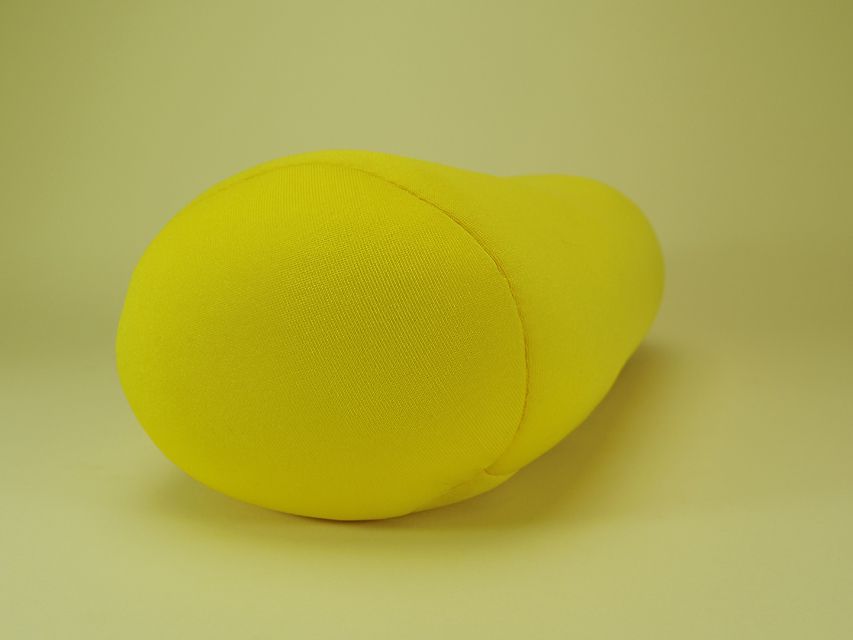 ダックスフンド カニンヘン あんず & 朝日の子犬 ブラッククリーム 男の子②