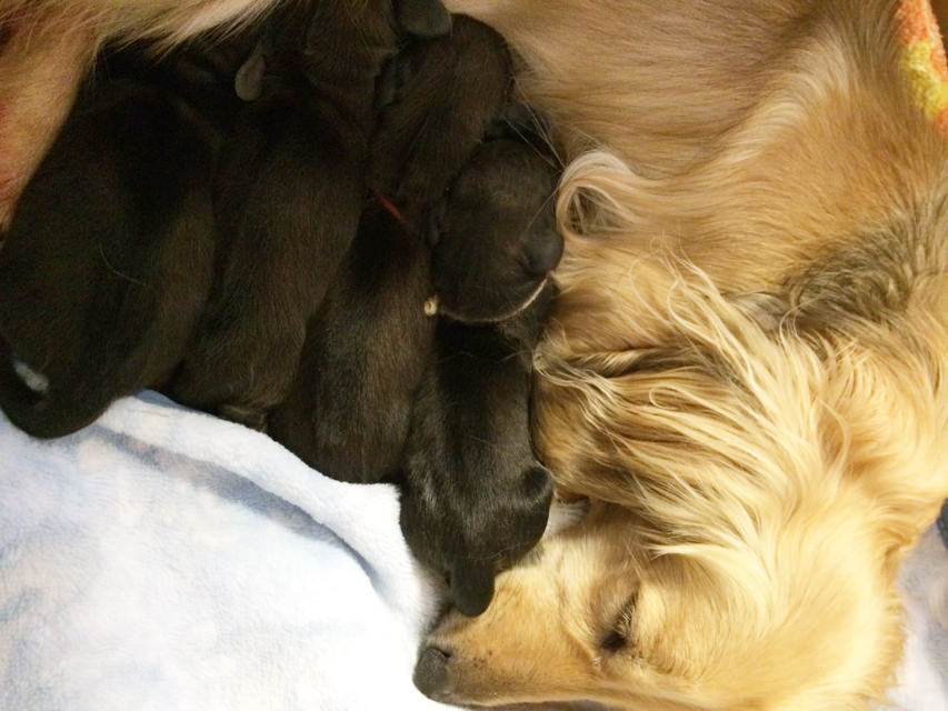 わかば 3月23日出産しました