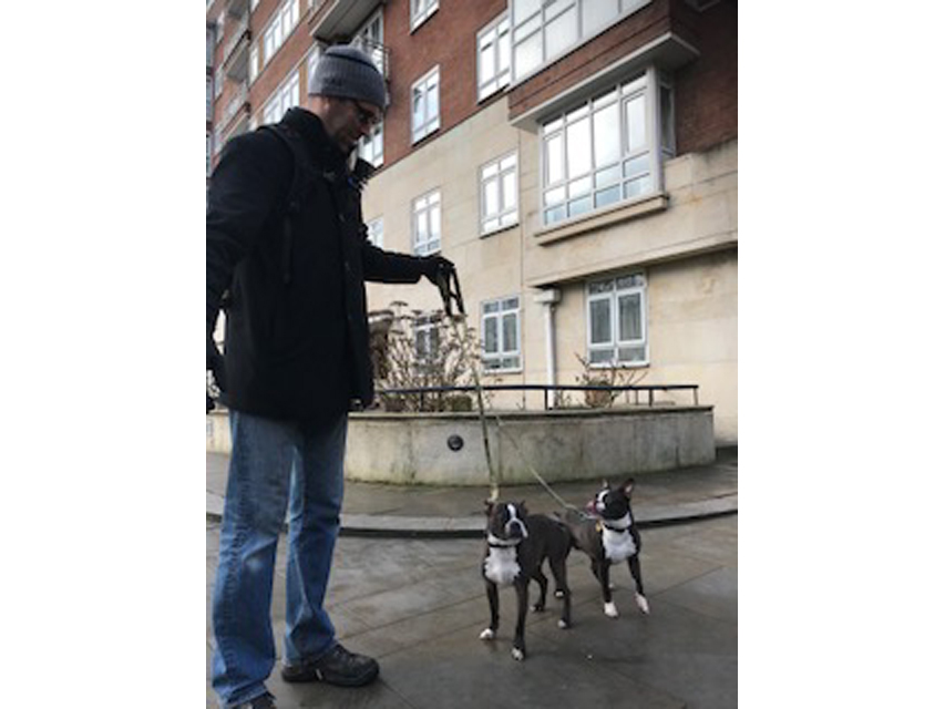 Crufts 2018 ロンドンで見かけた犬達