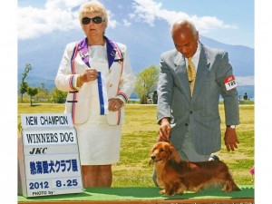 STAR FLEET JP MONKEY D. LUFFY STAR FLEET JP MONKEY D. LUFFY