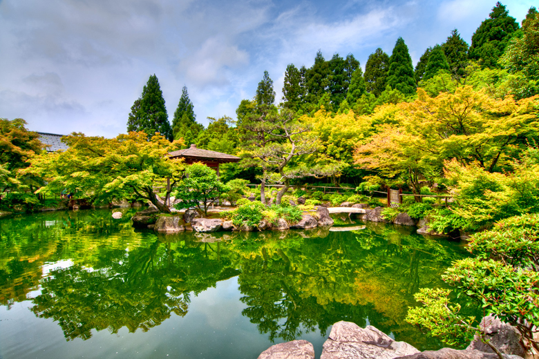 福井県のお客様へカニンヘン子犬のご案内