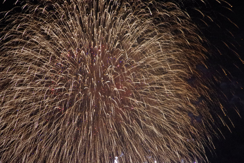 茨城県のお客様へカニンヘン子犬のご案内