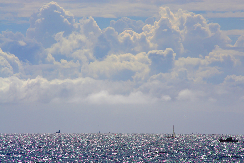 愛媛県のお客様へカニンヘン子犬のご案内