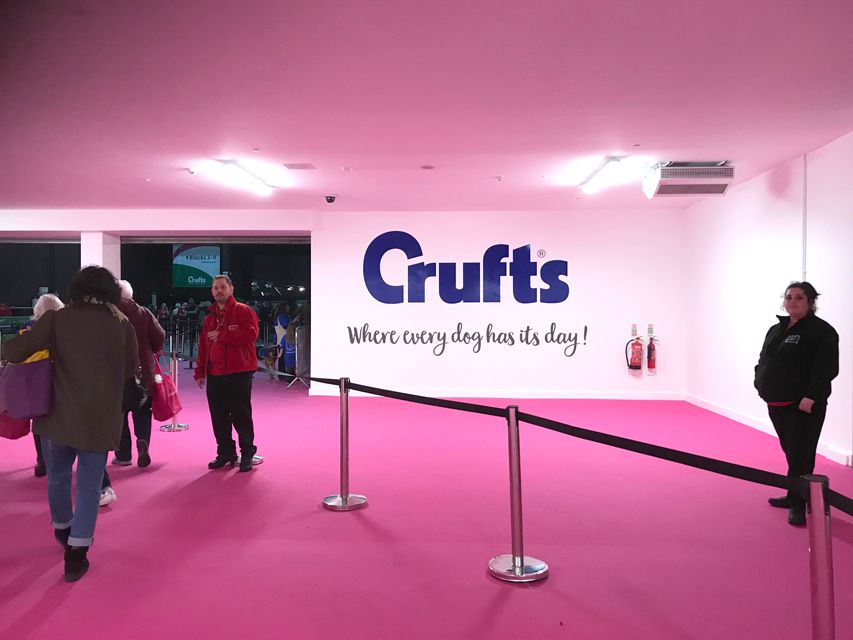 Crufts 2018 ベストインショー