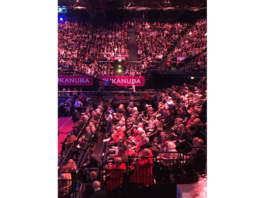 Crufts 2018 ベストインショーdachshund08 Crufts 2018 ベストインショー