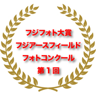 フジフォト大賞2013