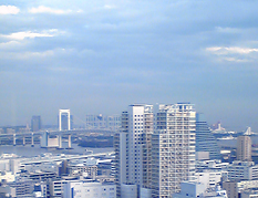 ドッグアロママッサージ・東京教室会場からの眺め