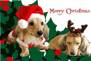 �N���X�}�X �J�j���w���_�b�N�X