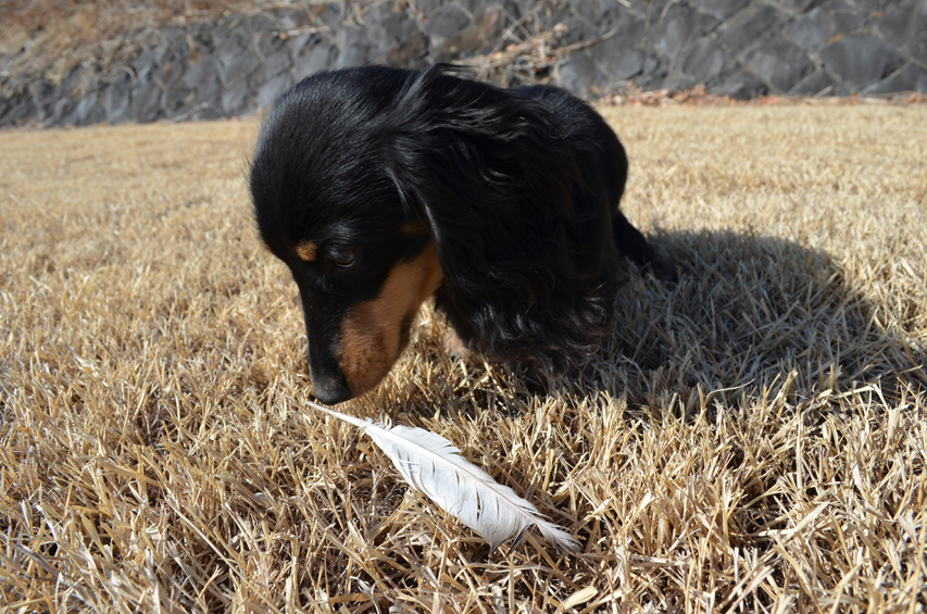 フジフォト大賞2018 佳作 フジフォト大賞2018 佳作