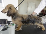 カニヘンダックス　シェーデットクリーム　男の子　オスカル