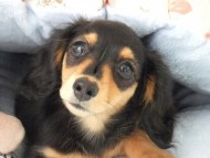 人気投票1位賞 人気投票1位賞