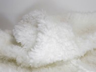 カニンヘン ダックスフンド 子犬 シェーデットクリーム 男の子 カニンヘン ダックスフンド 子犬 シェーデットクリーム 男の子