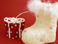 カニヘンダックス　子犬　ブラクリ男の子