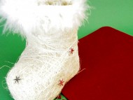 カニンヘンダックス　子犬　ブラック＆クリーム男の子