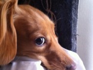 富士フイルム賞 富士フイルム賞