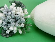 カニンヘンダックス　子犬　シェーデットクリーム男の子