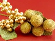 カニヘンダックス　子犬　ブラックタン女の子