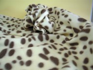 カニンヘン　子犬　チョコクリ女の子