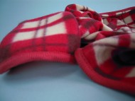 カニヘン　子犬　ブラタン女の子