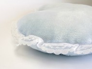 カニンヘン ダックスフンド 子犬 ブラッククリーム 男の子 カニンヘン ダックスフンド 子犬 ブラッククリーム 男の子