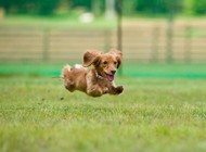 シャッターチャンス賞