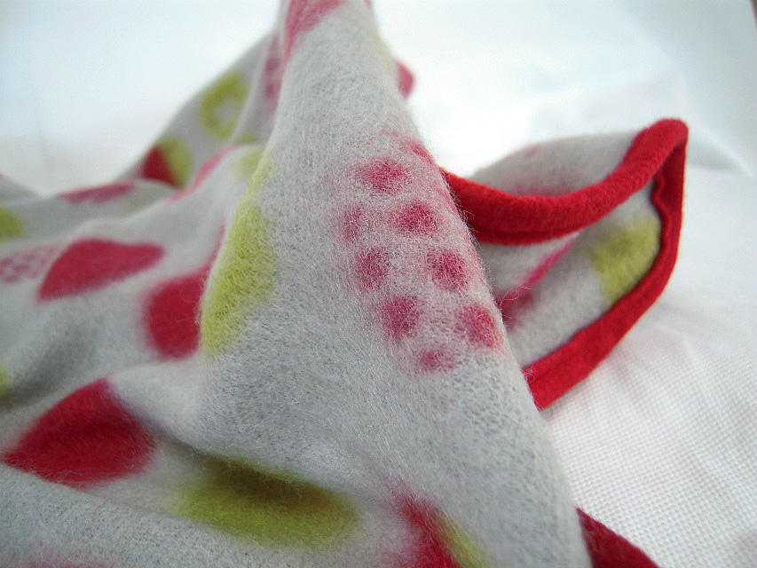 カニヘン 子犬 ブラックタン男の子 カニヘン 子犬 ブラックタン男の子