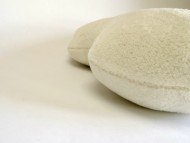 カニンヘン ダックスフンド 子犬 シェーデットレット 男の子 カニンヘン ダックスフンド 子犬 シェーデットレット 男の子