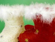 カニンヘンダックス　子犬　ブラック＆クリーム男の子