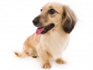 06シャーロット4.cs 06シャーロット4.cs