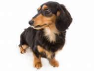 tn02ラムネ_J9A1737 tn02ラムネ_J9A1737